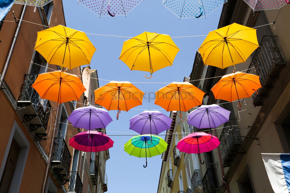 Similar – Image, Stock Photo umbrellas Art Work of art