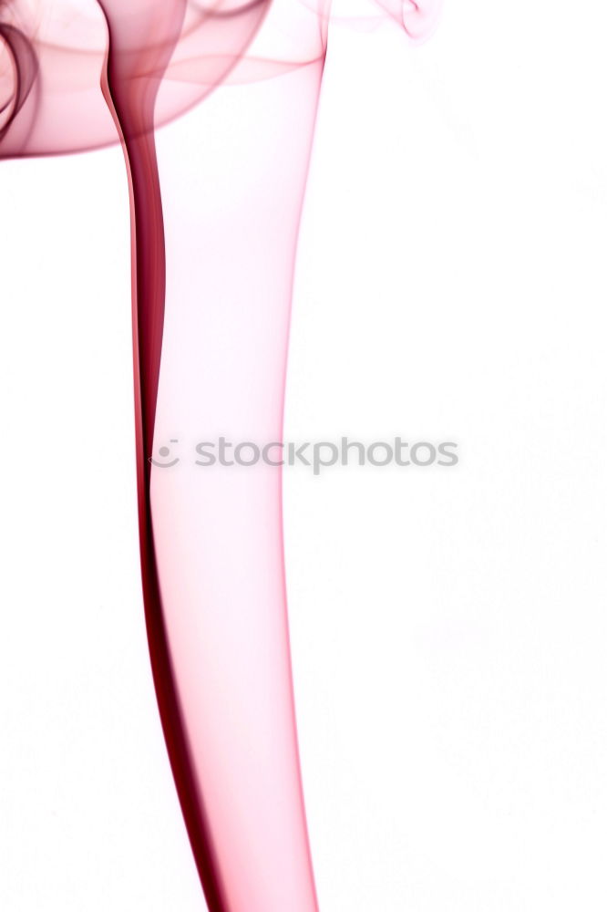 Similar – Image, Stock Photo Legs 2 Black Leather Gray