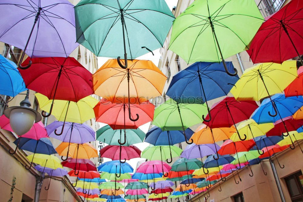 Similar – Image, Stock Photo umbrellas Art Work of art