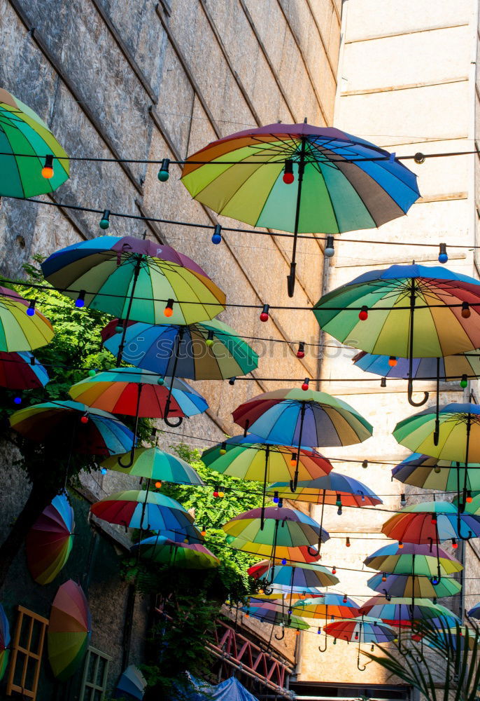 Similar – Flowered retro parasol