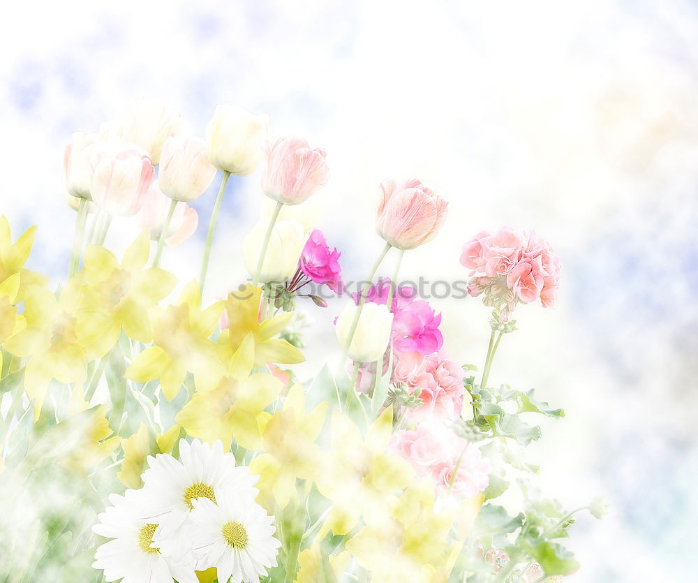 Similar – Image, Stock Photo bouquet of flowers Art