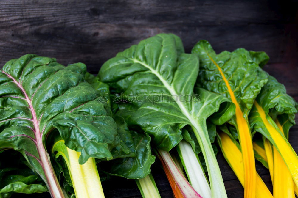 Similar – Image, Stock Photo kale washing winter superfood