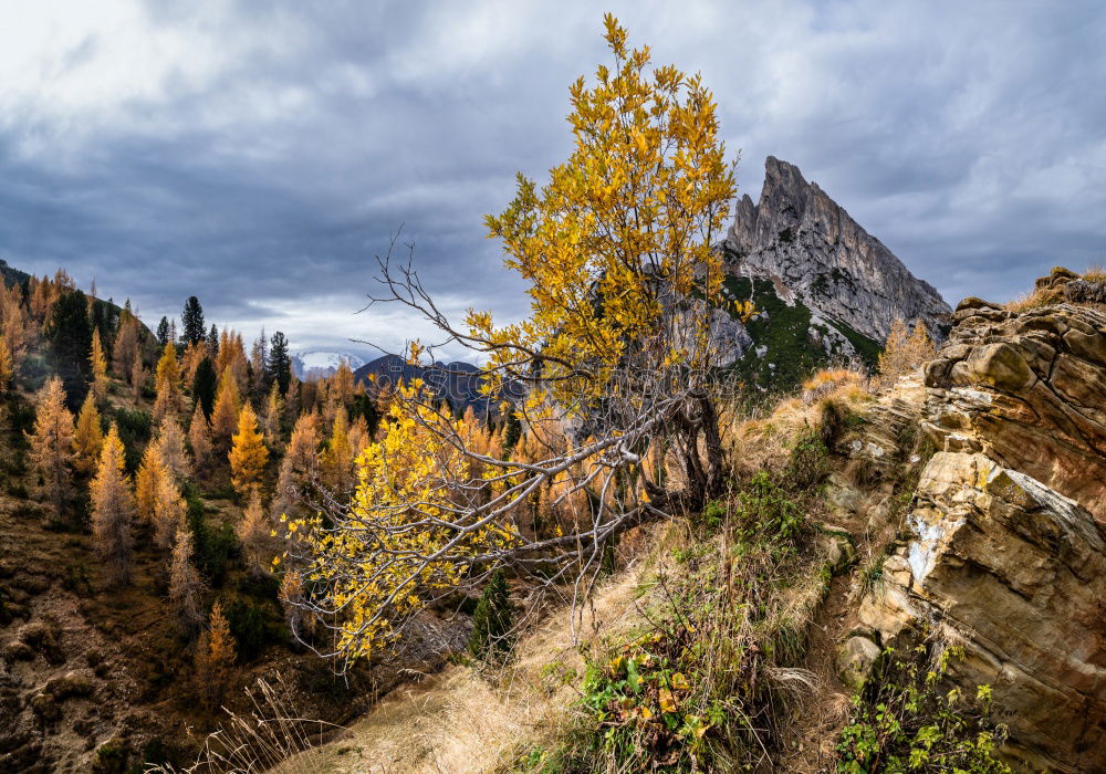 Similar – Image, Stock Photo Golden Mountains