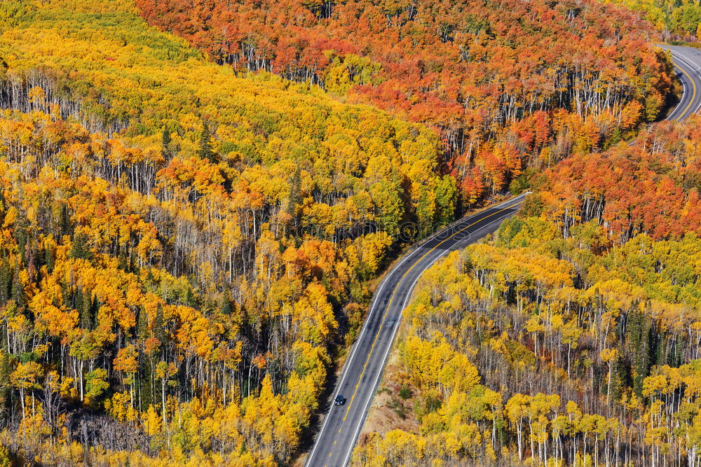 Similar – Image, Stock Photo Indian Summer @ Acadia NP