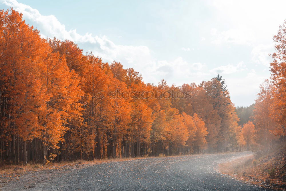 Similar – Image, Stock Photo Aerial view on countryside road. Straight road view from above.