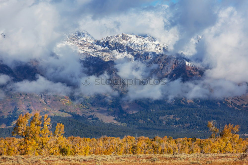 Similar – Image, Stock Photo Lyell Canyon Harmonious