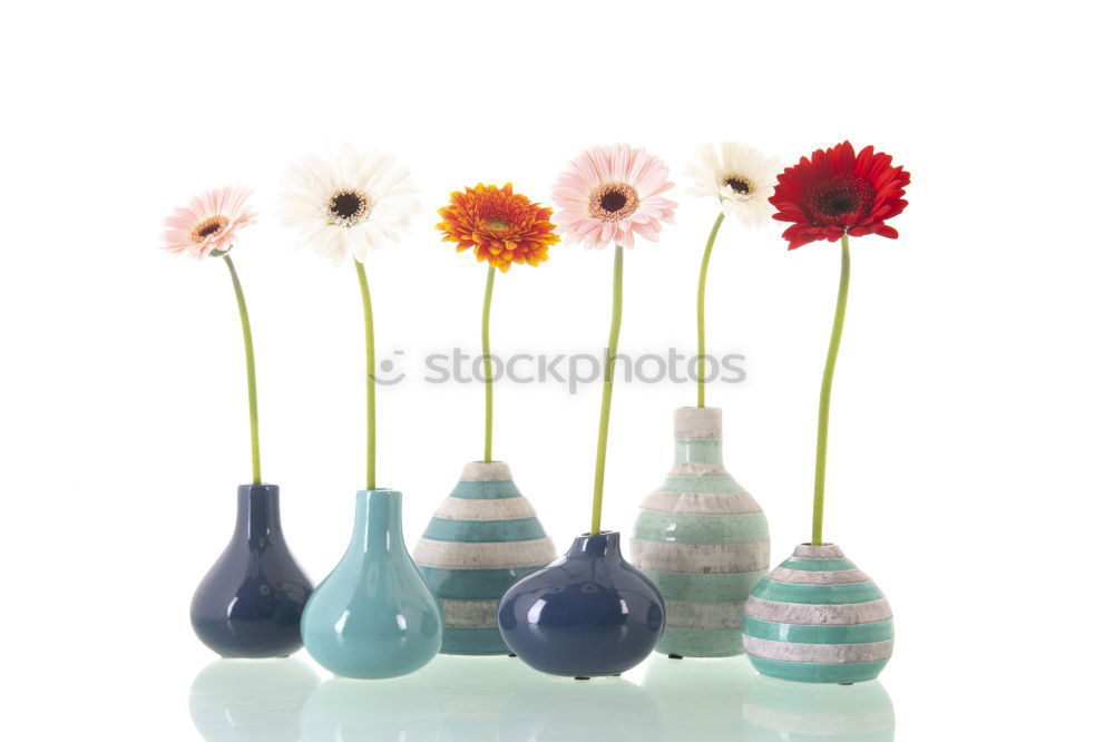 Similar – Image, Stock Photo vases with dry flowers