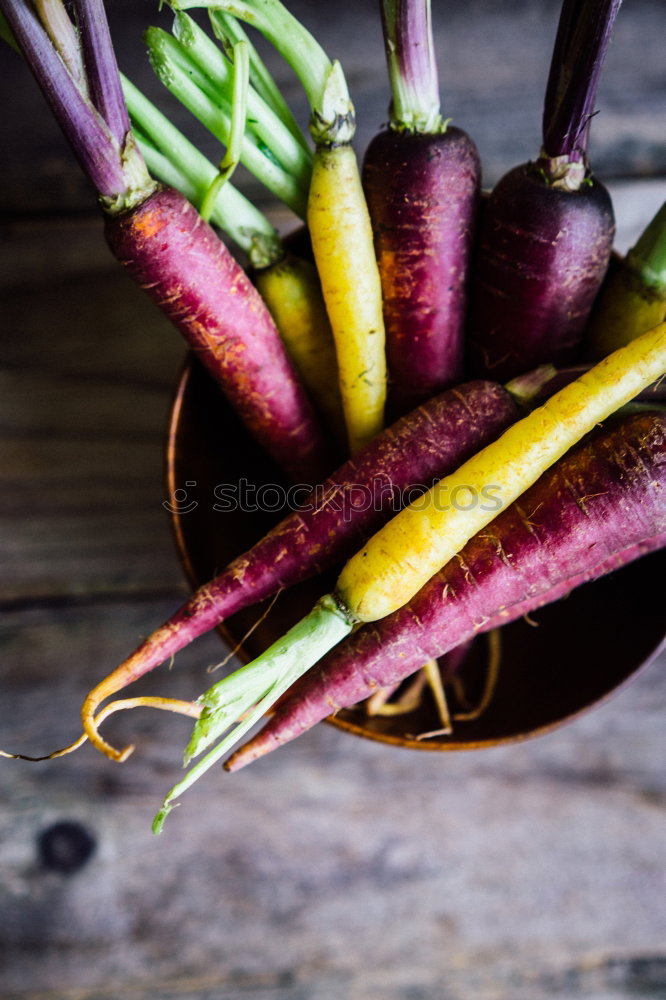 Foto Bild Rüben Bündel verschiedene Farben mit Erde und Wurzeln - Photocase