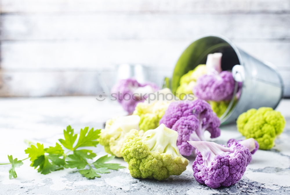 Similar – Hyacinth and shovel on white wooden table