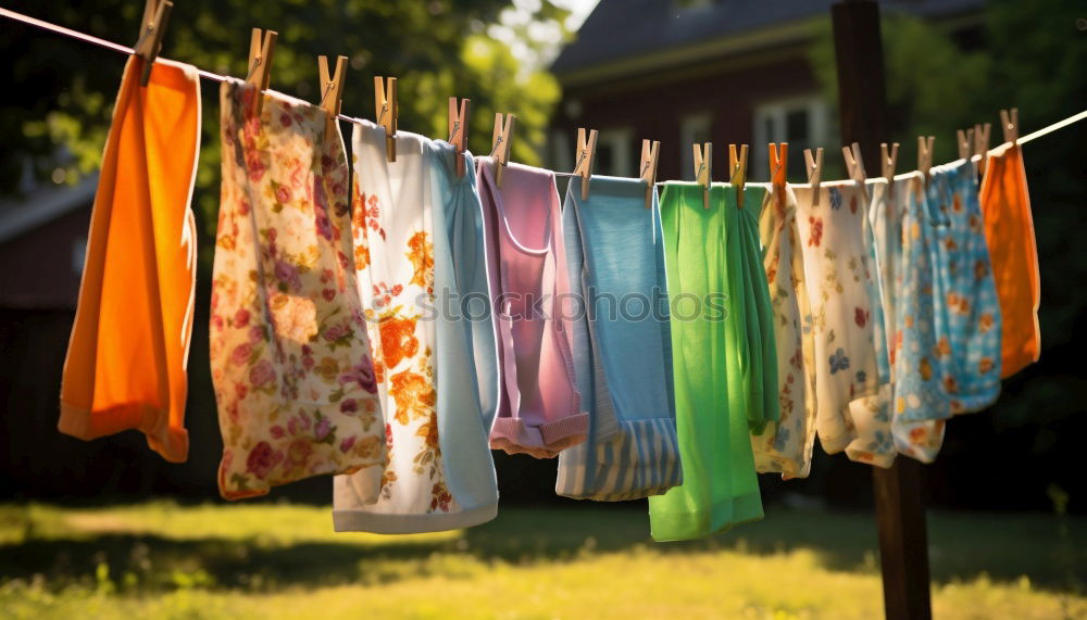 Similar – Image, Stock Photo Baby bibs on laundry