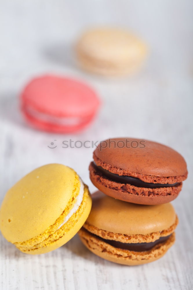 Similar – Image, Stock Photo Colorful macarons on white wooden table