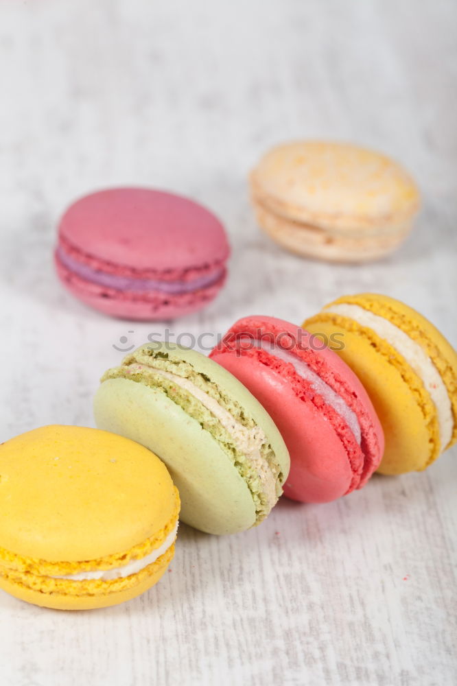 Similar – Image, Stock Photo Colorful macarons on white wooden table