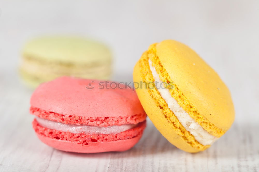 Image, Stock Photo Colorful macarons on white wooden table