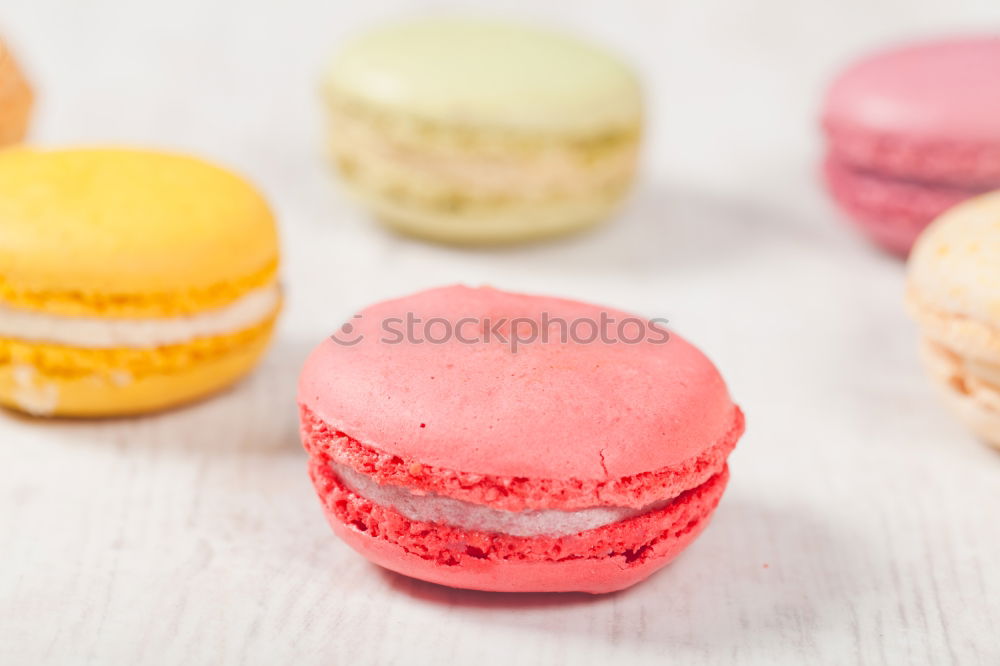 Similar – Image, Stock Photo Colorful macarons on white wooden table