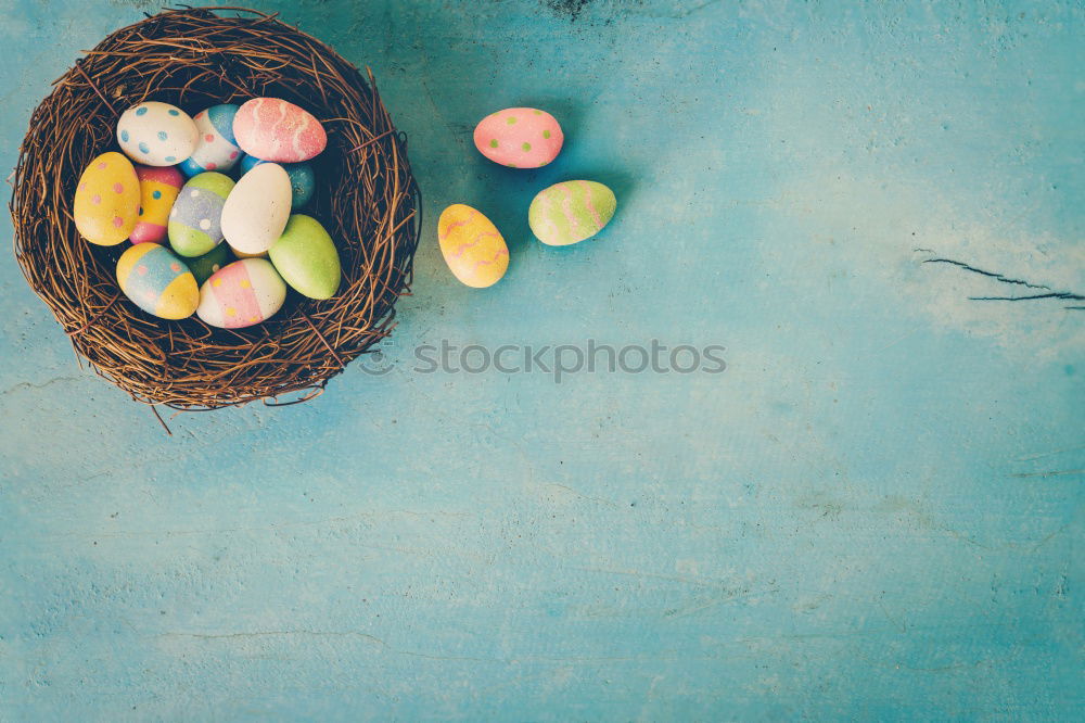 Similar – Osren greeting card mock up with nest and eggs