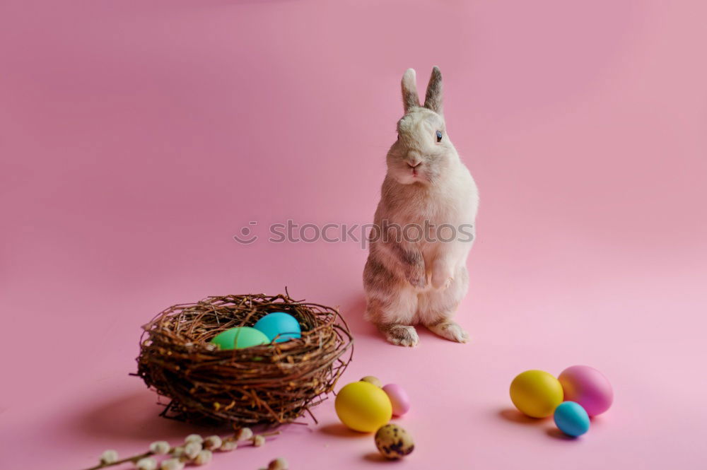 Similar – Image, Stock Photo bedtime sweets Bed Easter