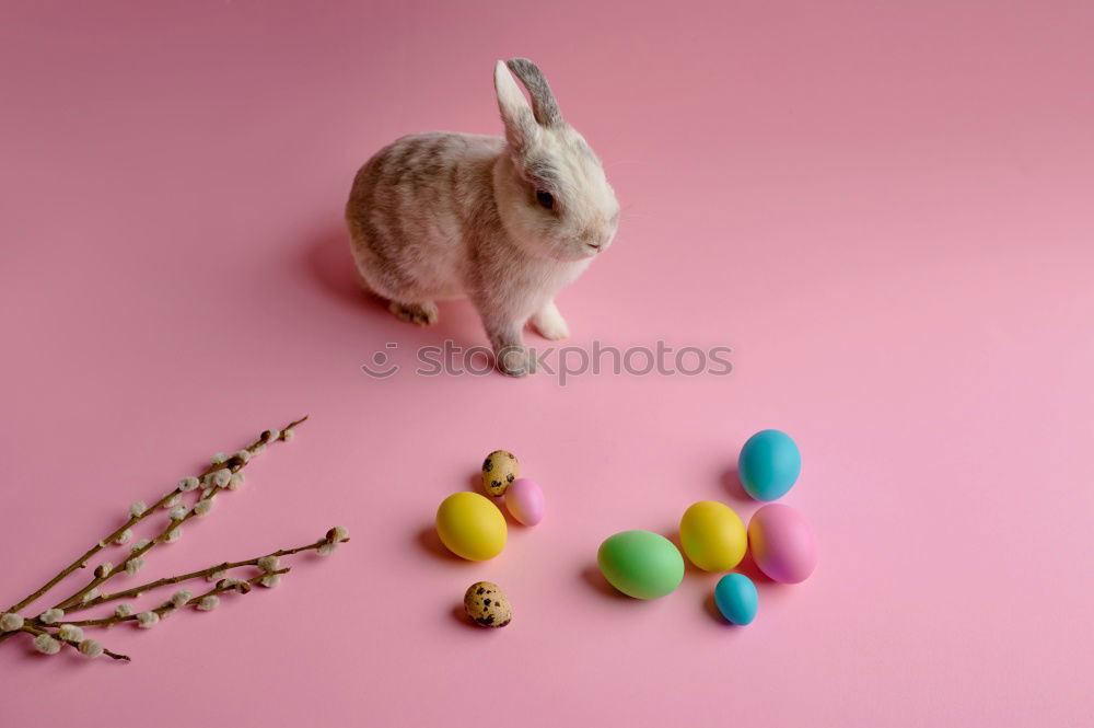 Similar – Image, Stock Photo bedtime sweets Bed Easter