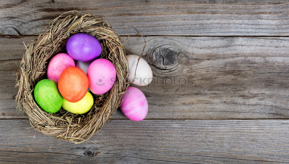 Easter eggs in hay nest on a rustic wooden background