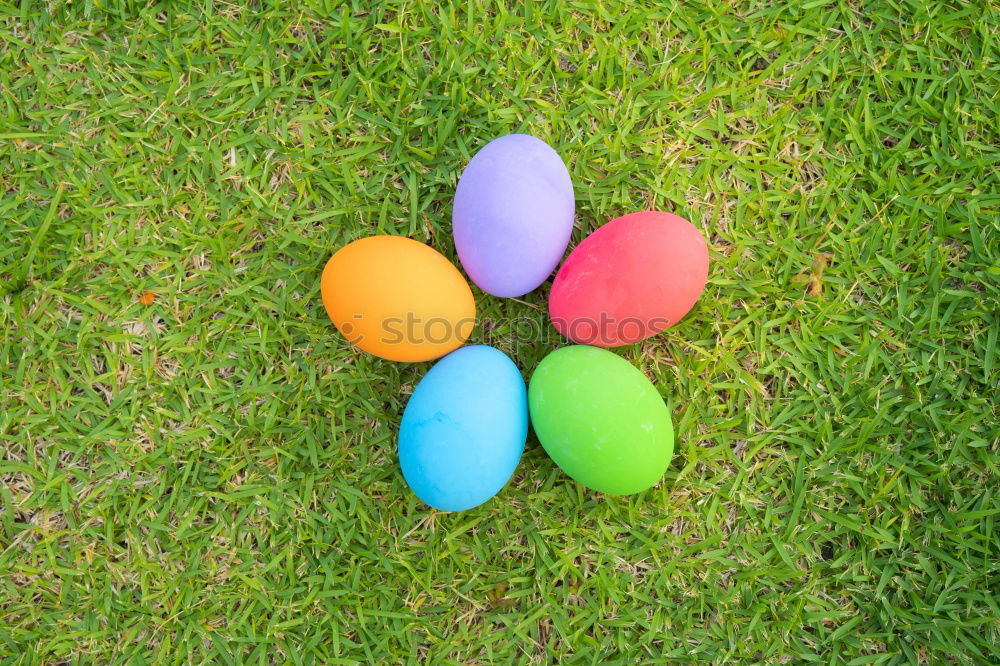 Similar – Easter eggs Food Egg