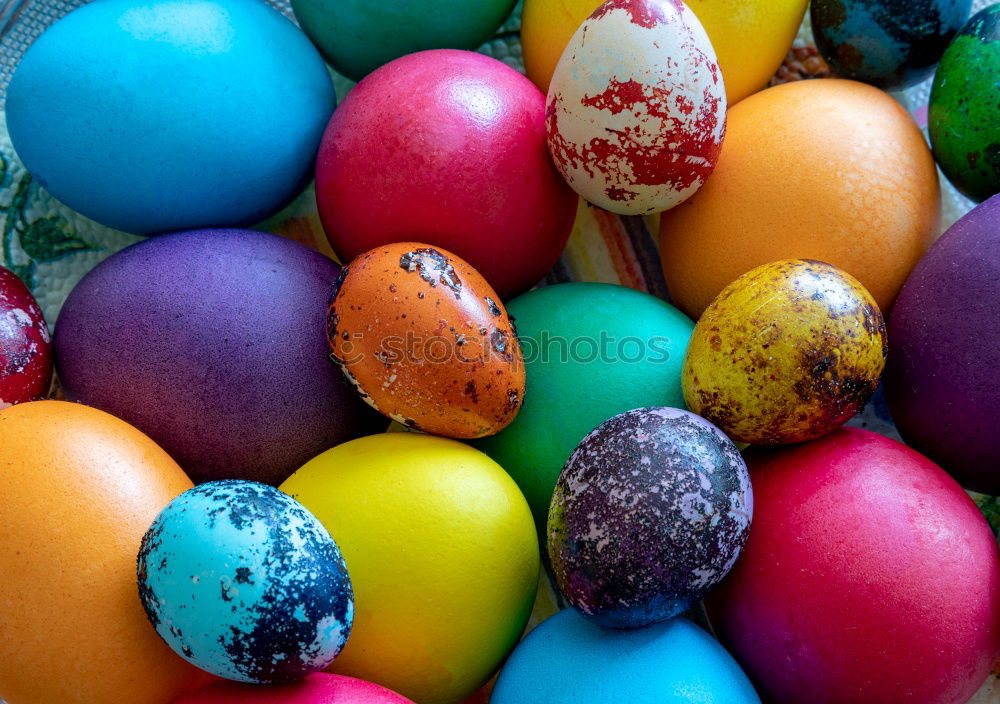 Similar – colorful Easter eggs next to natural brown chicken eggs