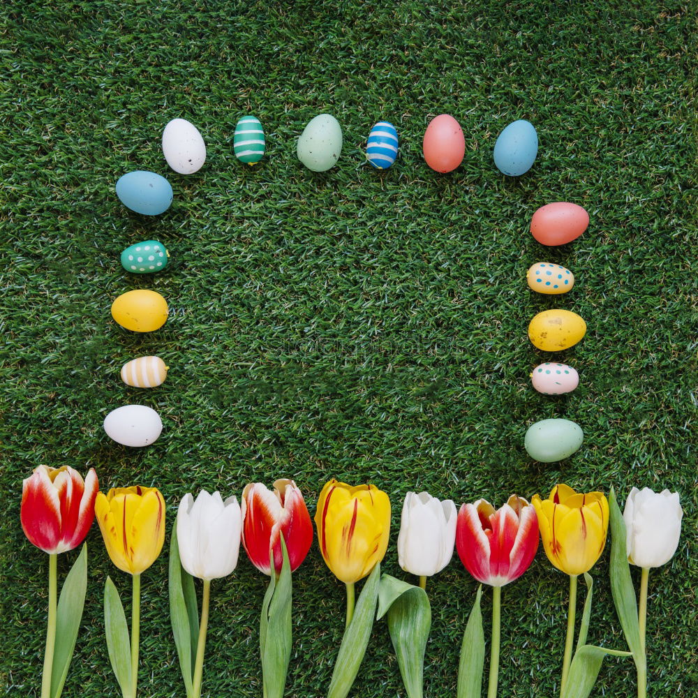 three colourful Easter eggs lie on flowering daisies in a meadow