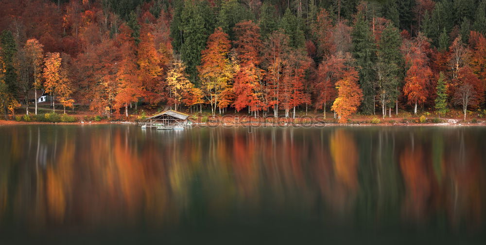 Similar – Indian Summer im Frankenwald