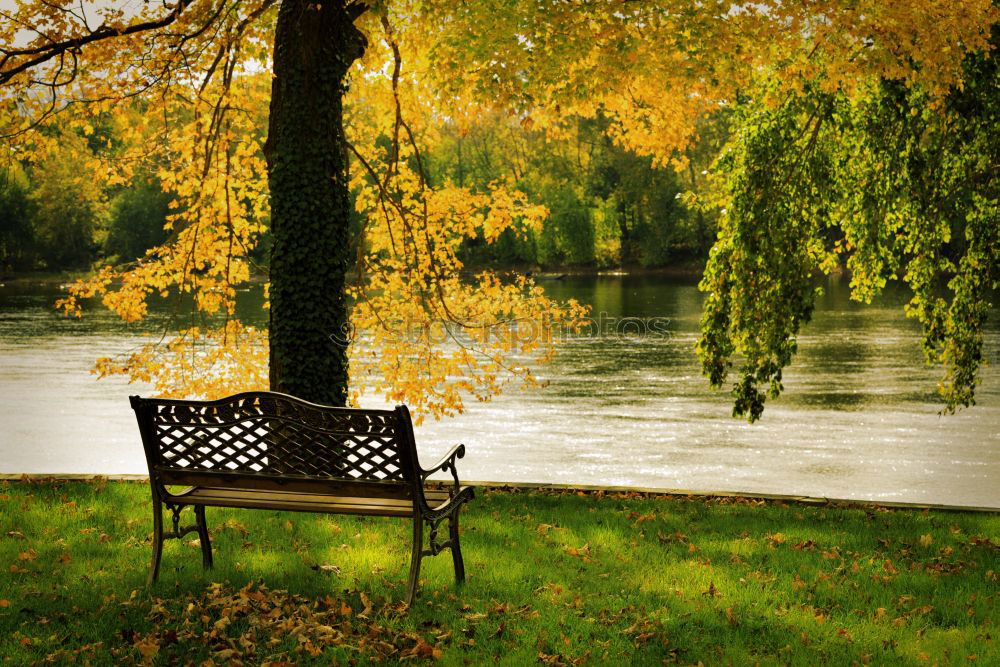 Similar – Foto Bild An der Saale Baum Wiese