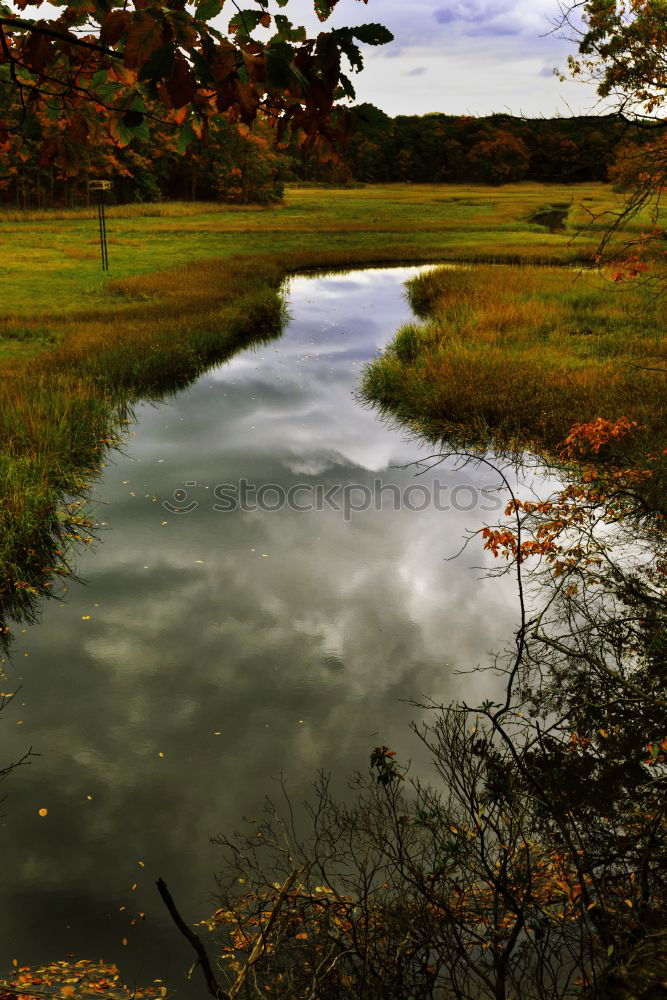 Similar – Image, Stock Photo wet feet Environment