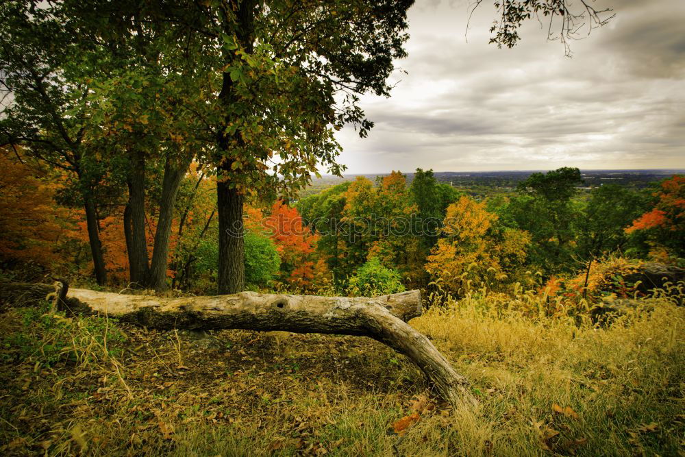 Similar – Image, Stock Photo A field in rural landscape