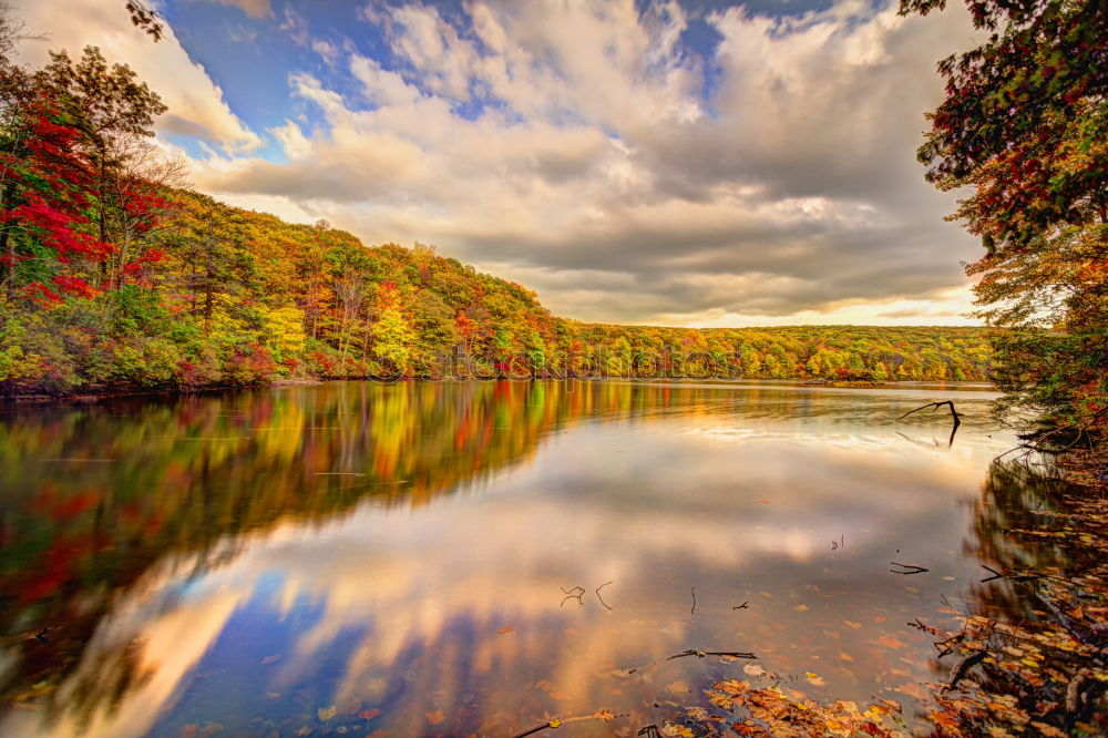 Similar – Autumn at the river Nature