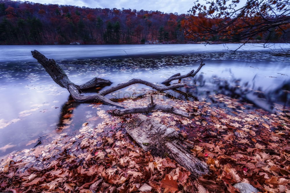 Similar – Image, Stock Photo mirrors Surface of water