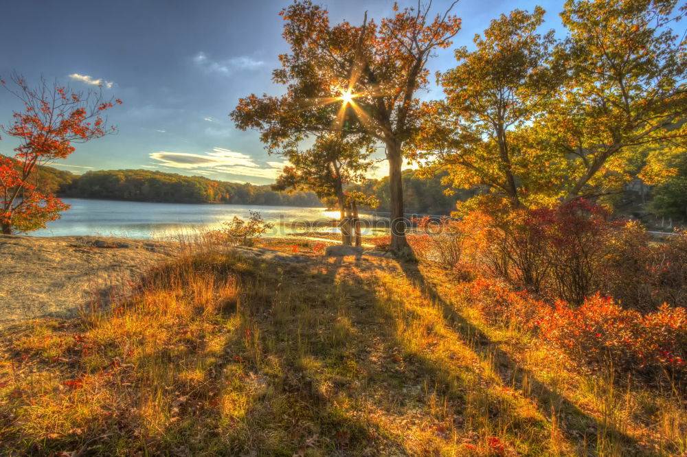 Similar – Image, Stock Photo good night Rock Mountain