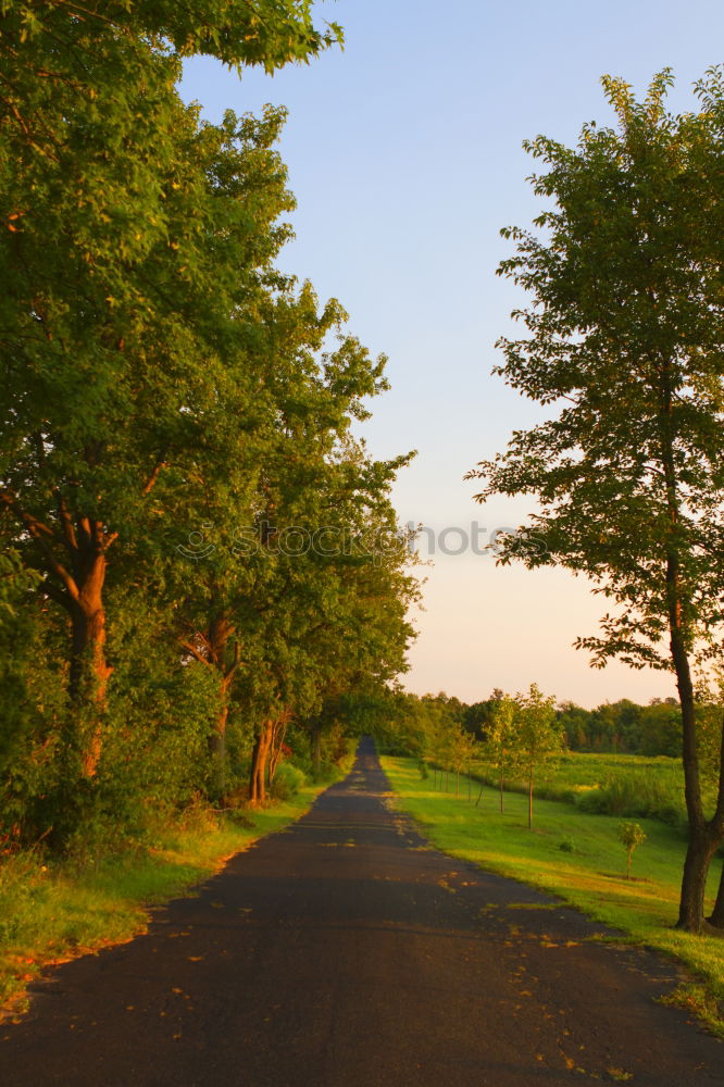 Similar – Foto Bild parking lane @ Hyde Park