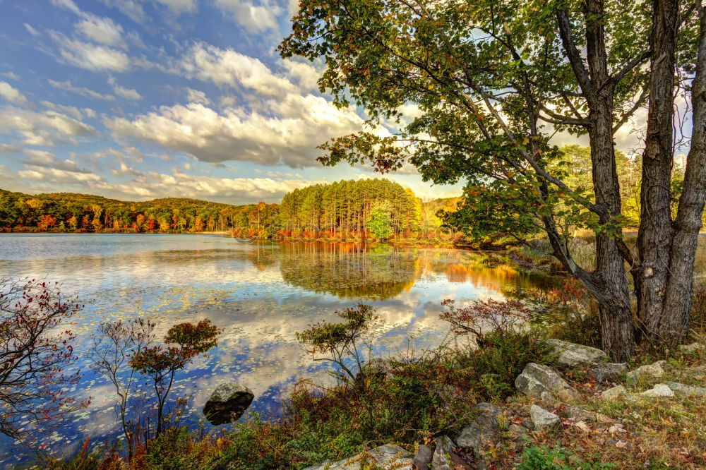 Autumn at the river Nature