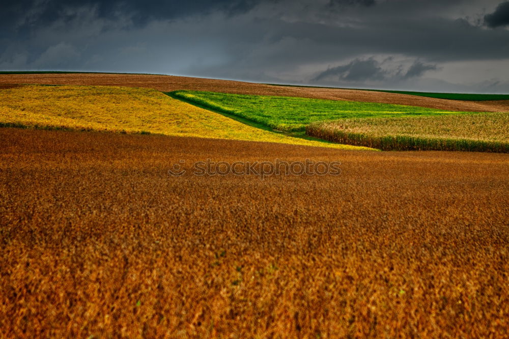 Similar – Image, Stock Photo lost Man Field Canola