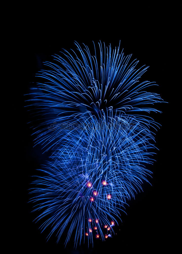 Similar – Blue colorful fireworks on the black sky