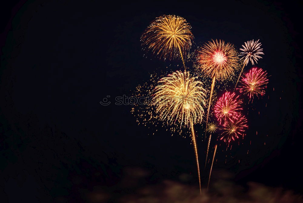 Similar – Image, Stock Photo firecracker Elegant Style