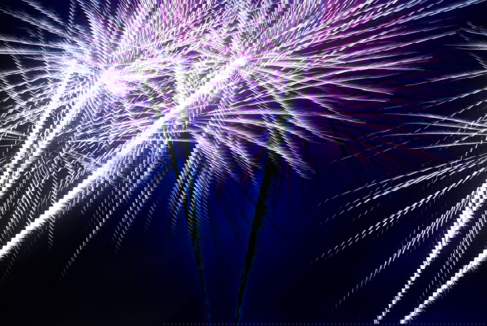 Similar – Image, Stock Photo Colorful fireworks Joy