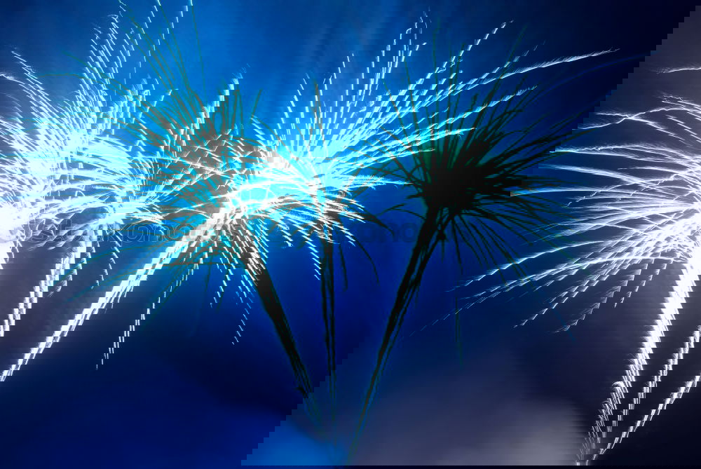 Similar – Image, Stock Photo Blue colorful fireworks