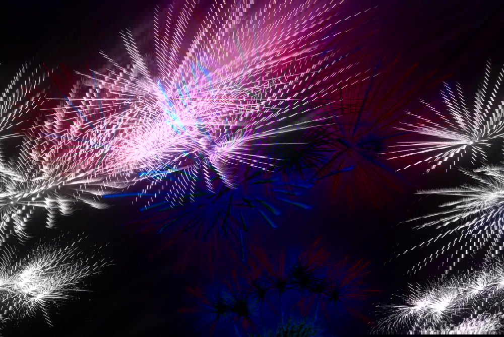 Image, Stock Photo Colorful fireworks on the black sky