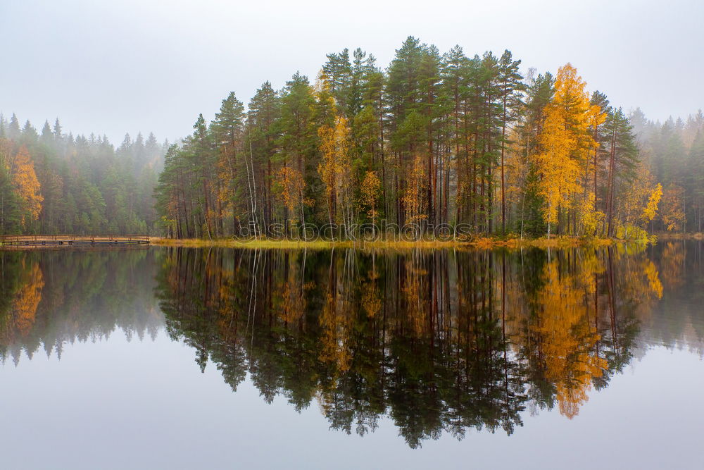 Similar – Indian Summer im Frankenwald