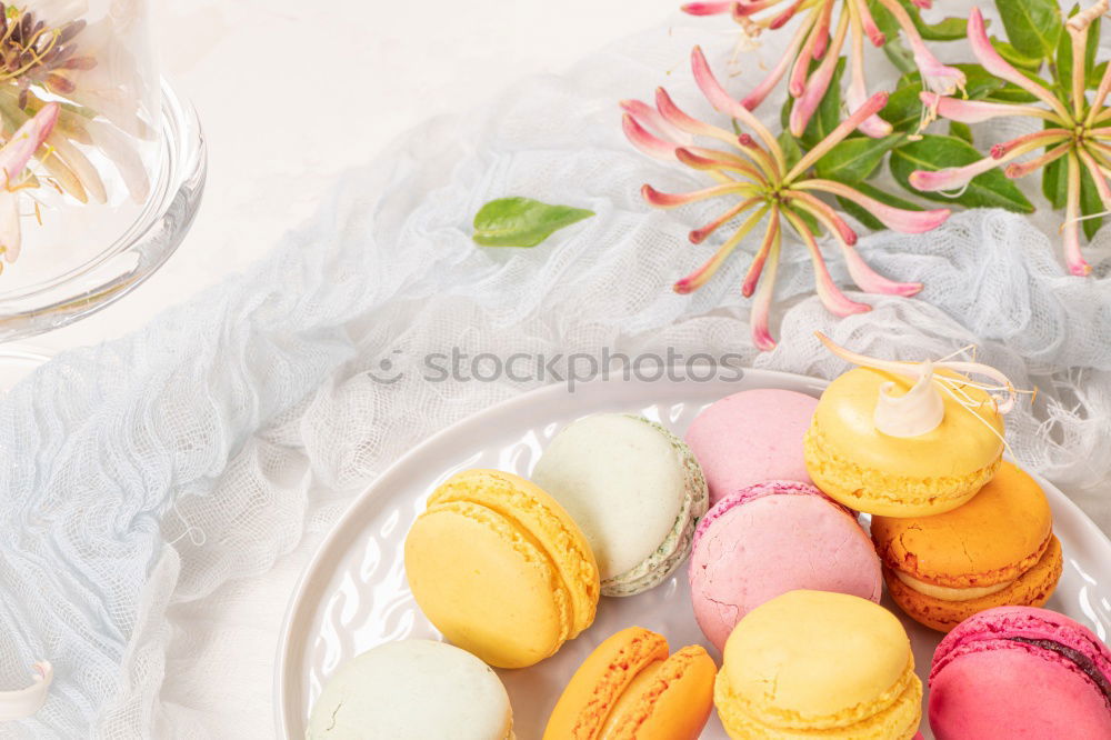 Similar – Multi-colored pastries macarons