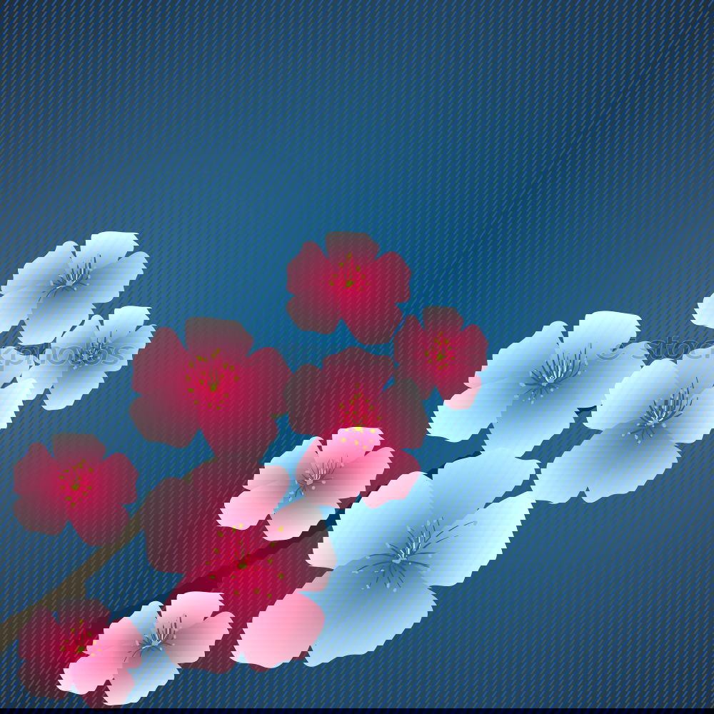 Similar – Image, Stock Photo Forget-me-not together