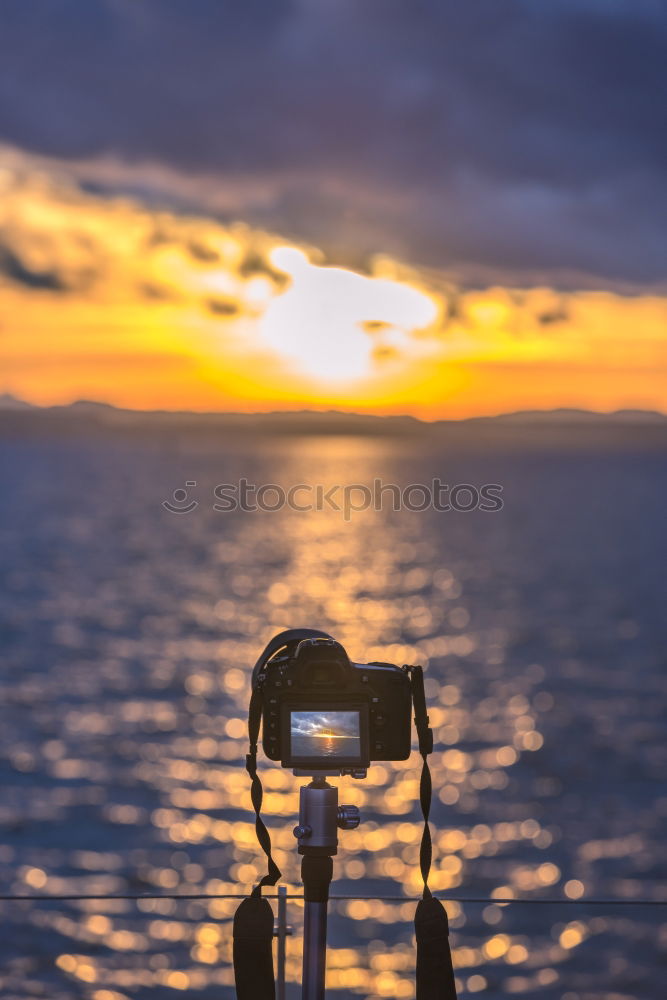 Similar – Image, Stock Photo Catch the sun Take a photo