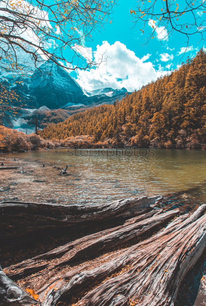 Similar – Pier on mountain lake Lake