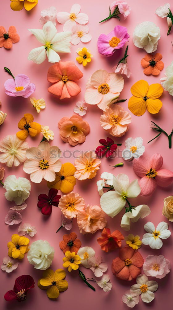 Similar – Image, Stock Photo Flowers on red wooden table
