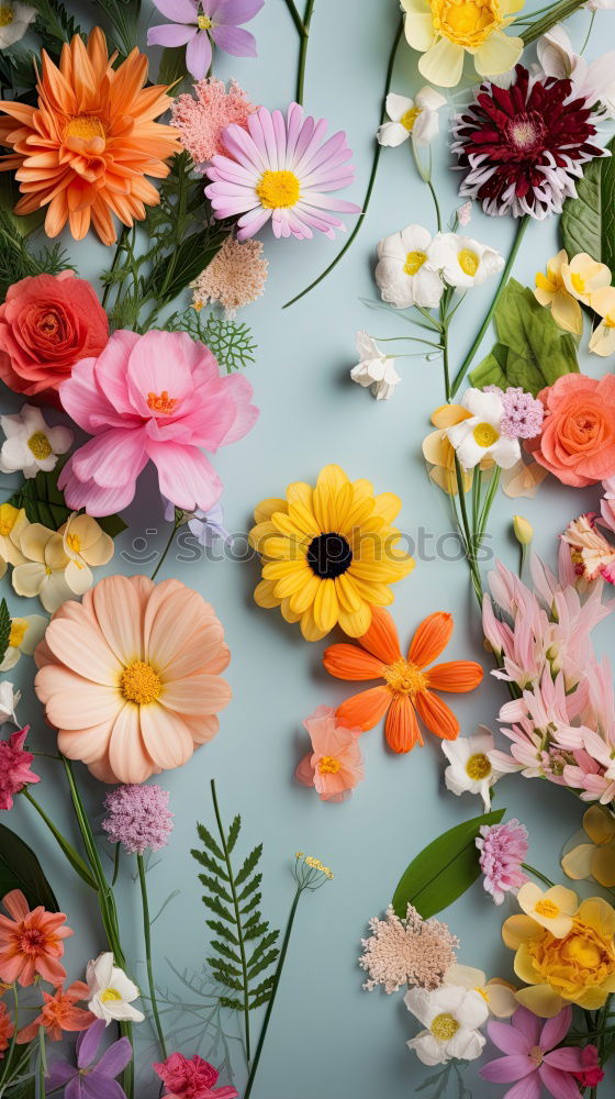 Similar – Beautiful flowers on Shabby Chic background