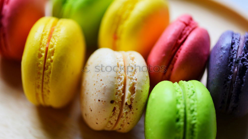 Similar – Multicolored biscuits macarons