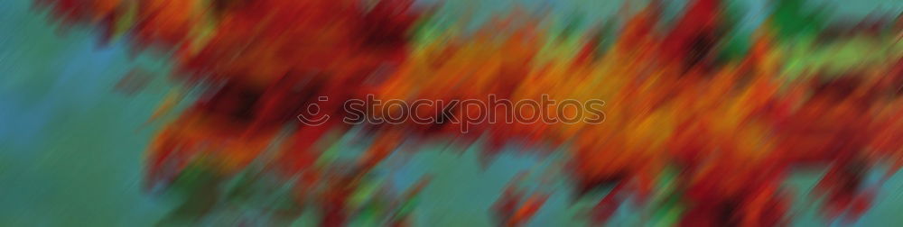 Similar – Image, Stock Photo Autumn PRESSion Hose