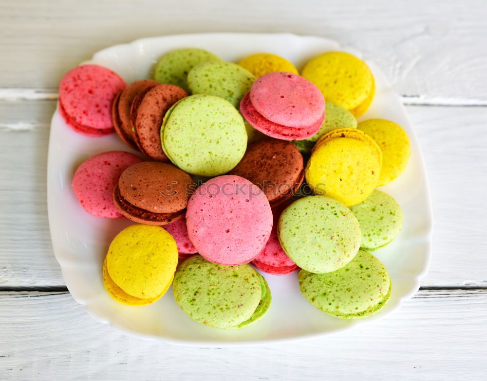 macarons multicolored